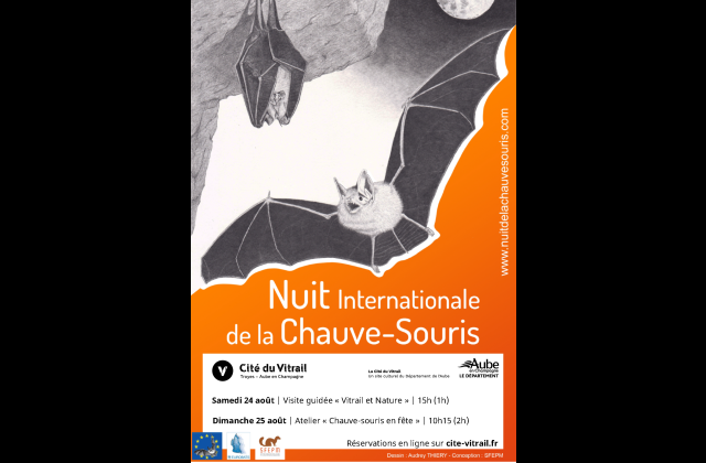 Affiche de la nuit internationale de la chauve-souris Affiche de la nuit internationale de la chauve-souris
