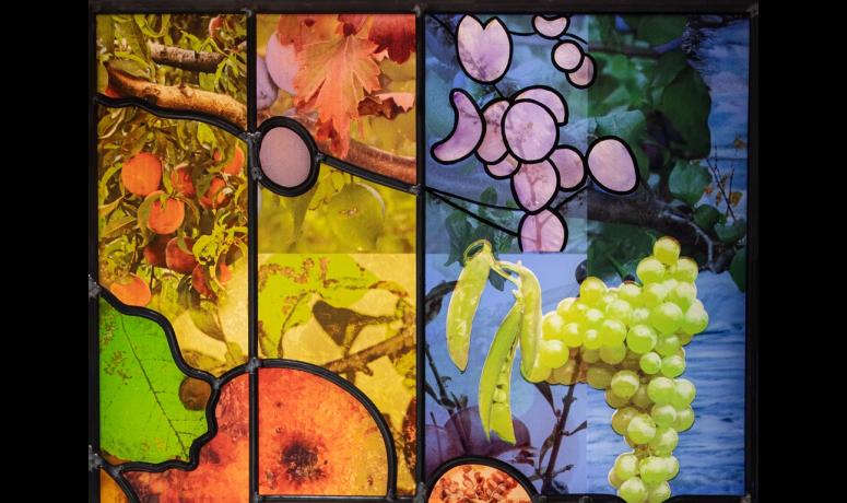 Vitrail du millénaire détail de fruits