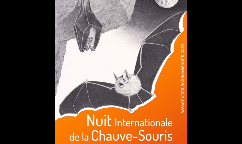 Affiche Nuit internationale de la chauve-souris